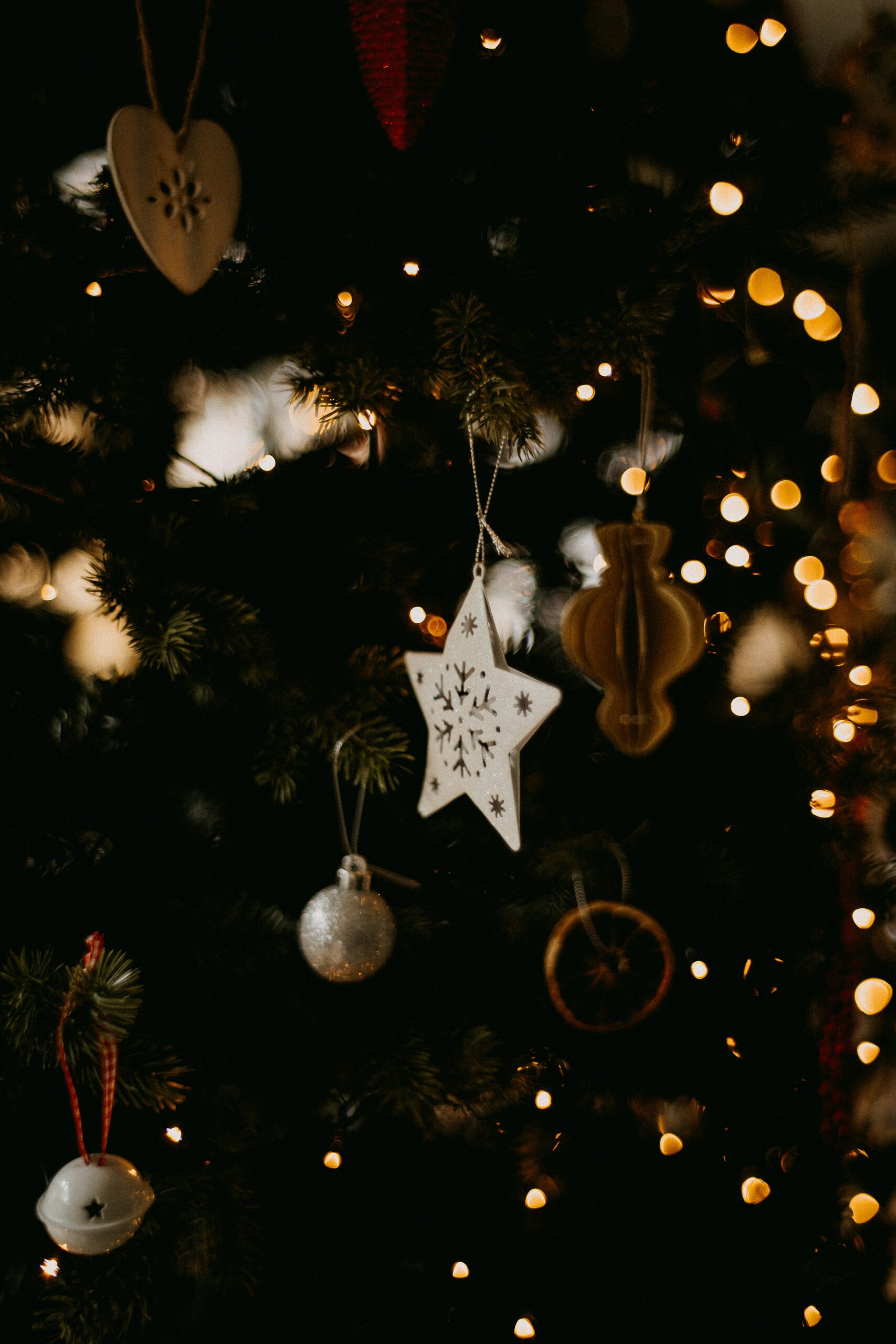 Yule
