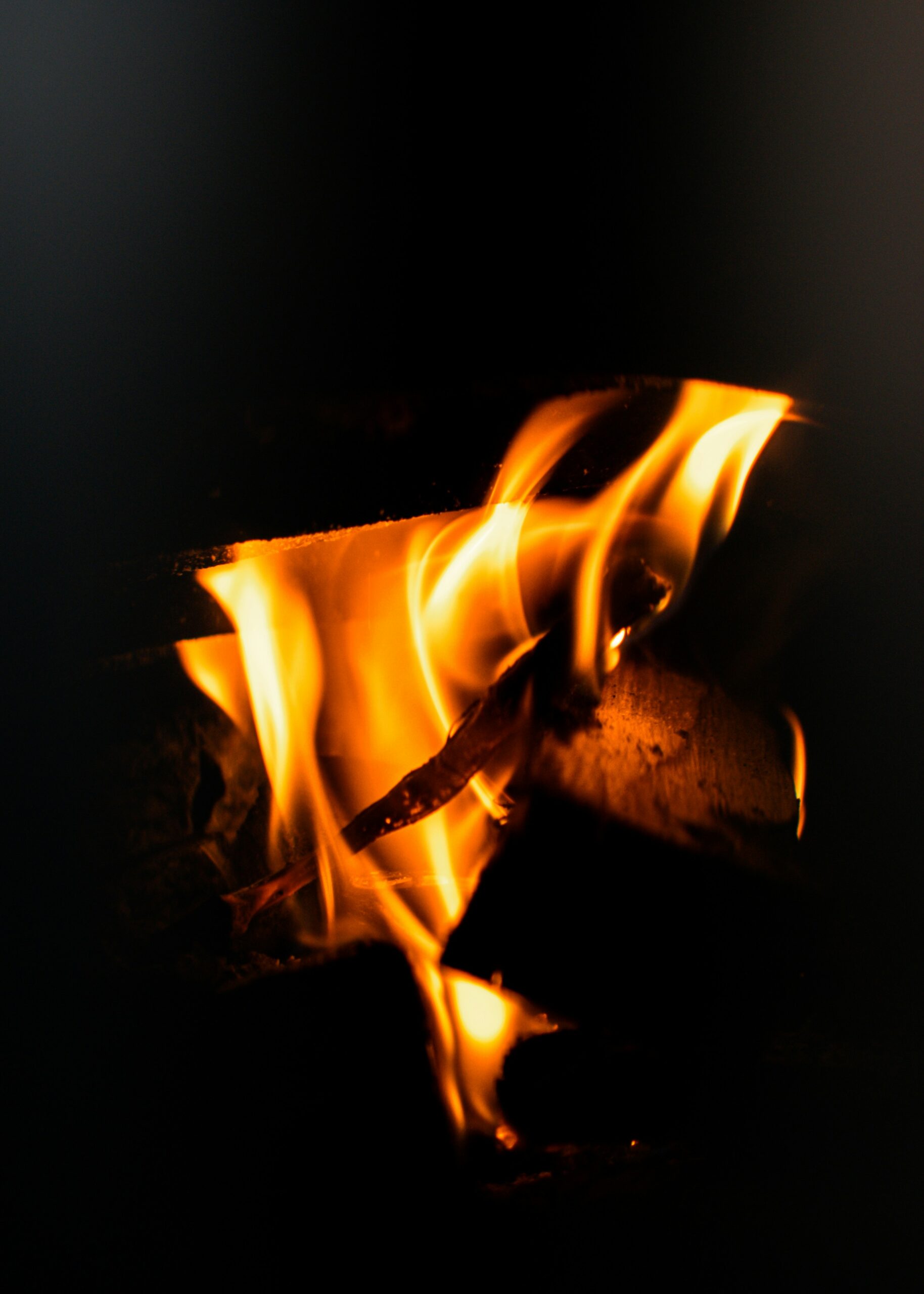 Yule Calendar Day 19: The 12 Sacred Days of Yule & Yule Log