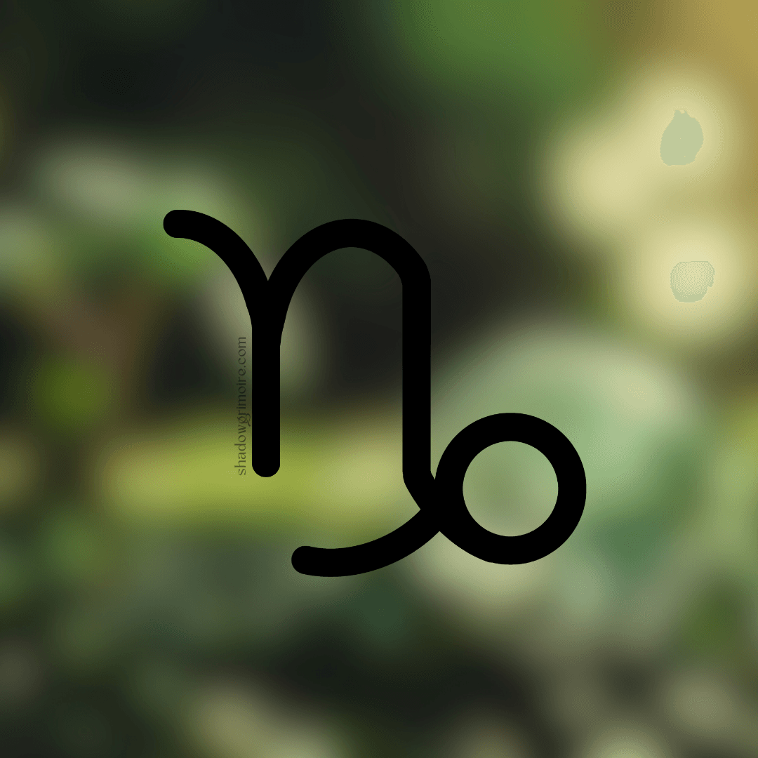 Capricorn zodiac sign