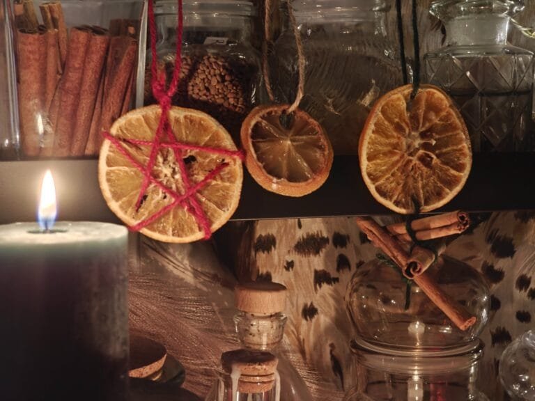 Yule Calendar Day 17: Dried Citrus Slices