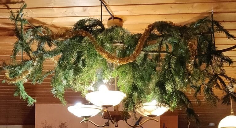 Yule Calendar Day 7: Using Fir and Other Evergreens as Protective Decorations for Your Home