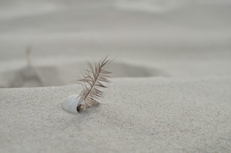 Magical Sands in Spellwork: Harnessing the Energy of the Earth