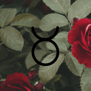 Taurus zodiac sign, earthy rose sign