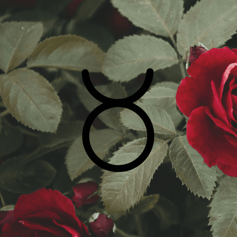 Taurus zodiac sign, earthy rose sign