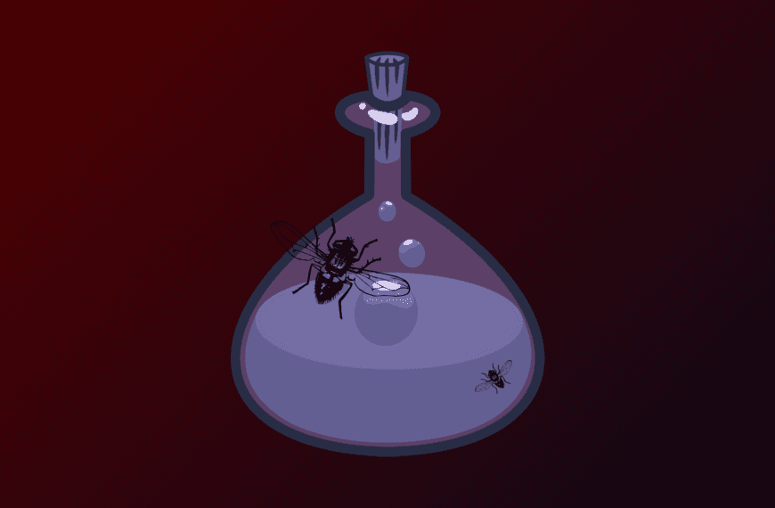 How to Get Rid of a Hex