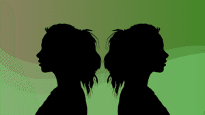 twin flame journey