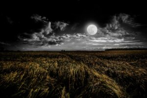 Full Moon