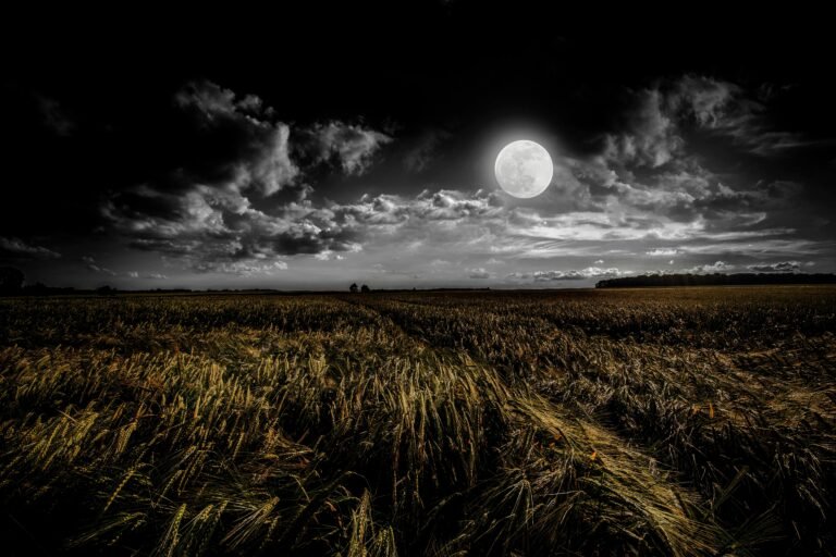 Full Moon