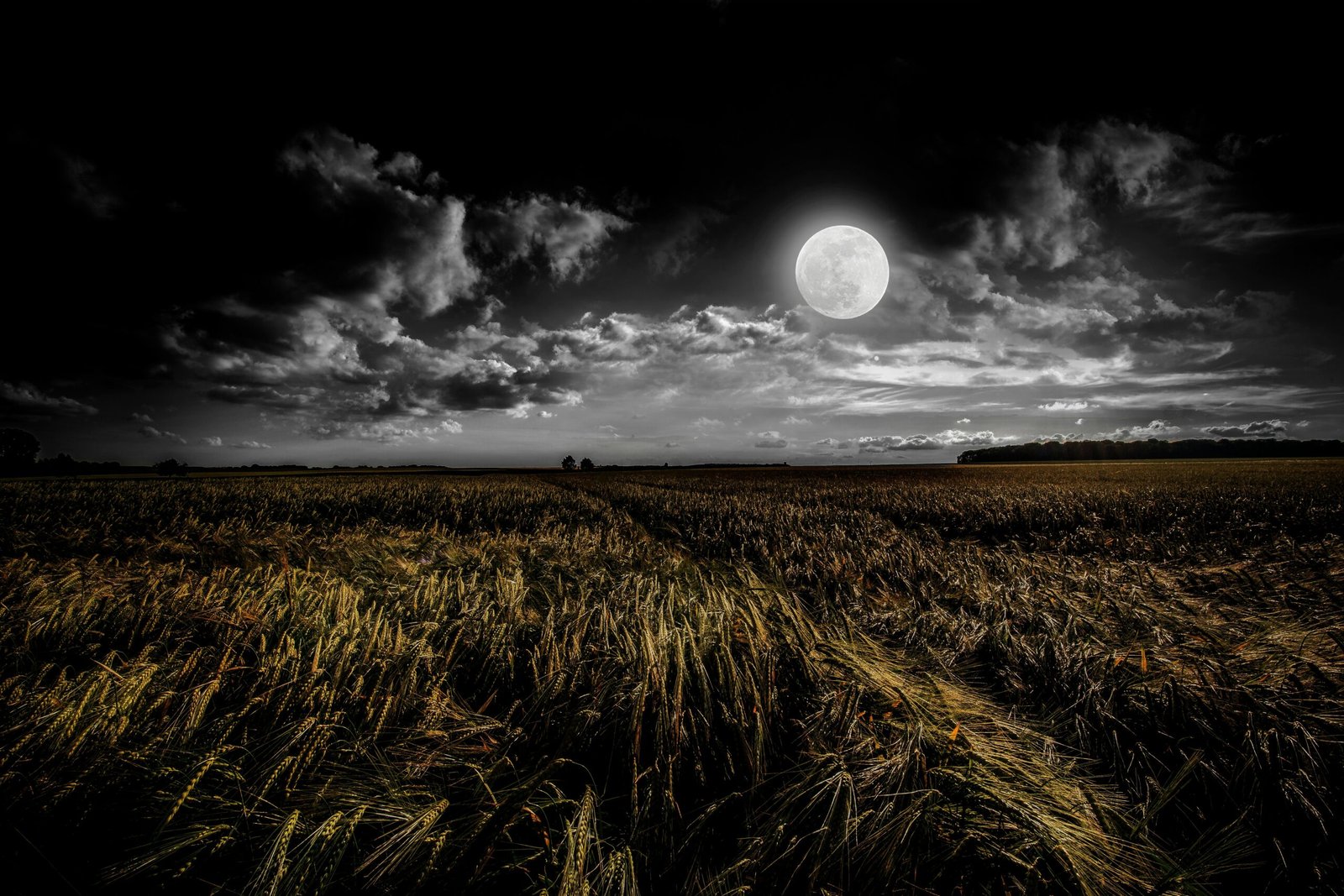 Full Moon