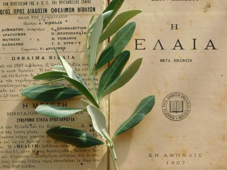 Herbs