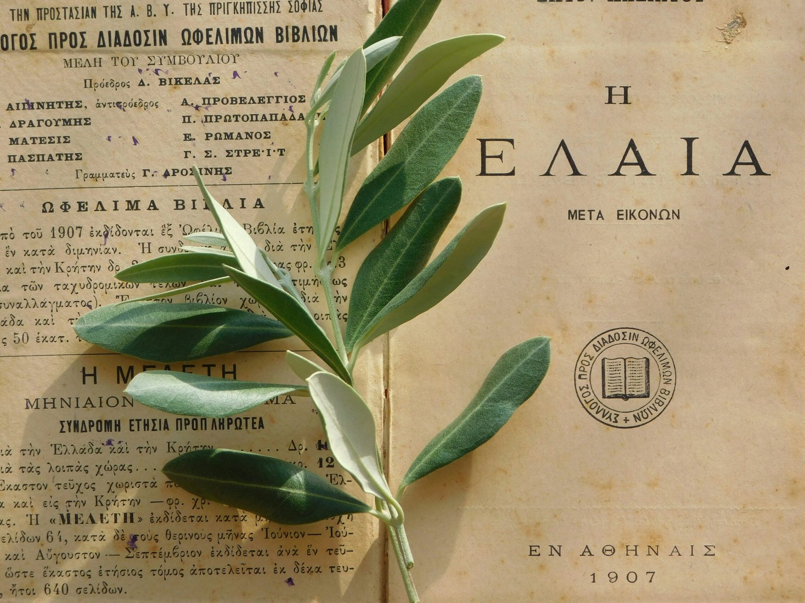 Herbs