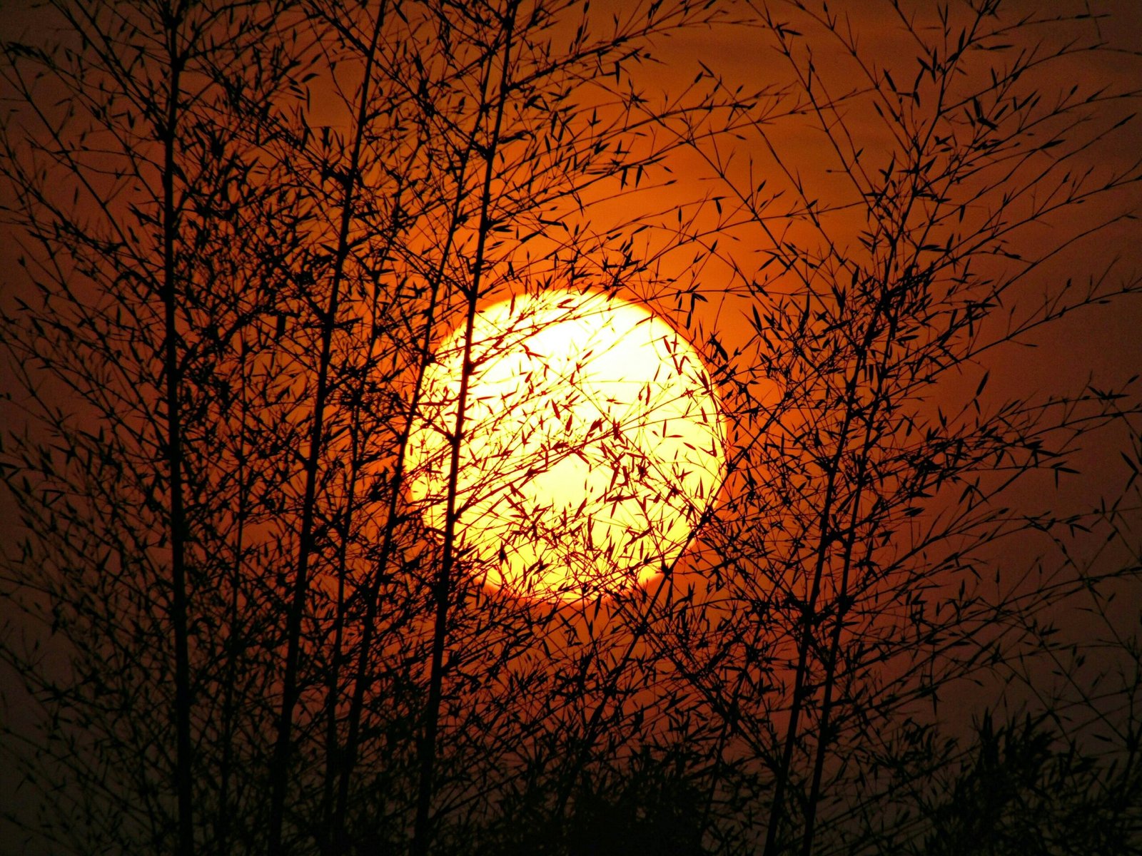 Sun Moon
