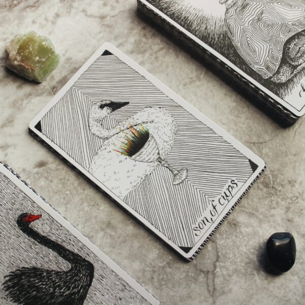 a deck of tarot cards and crystal