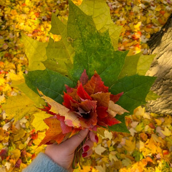Fallen leaf spell