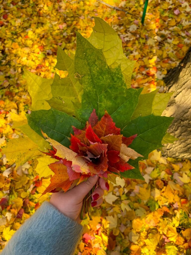 Fallen leaf spell
