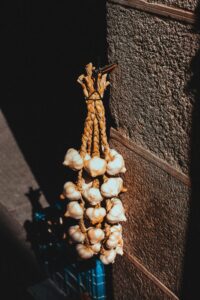 Garlic