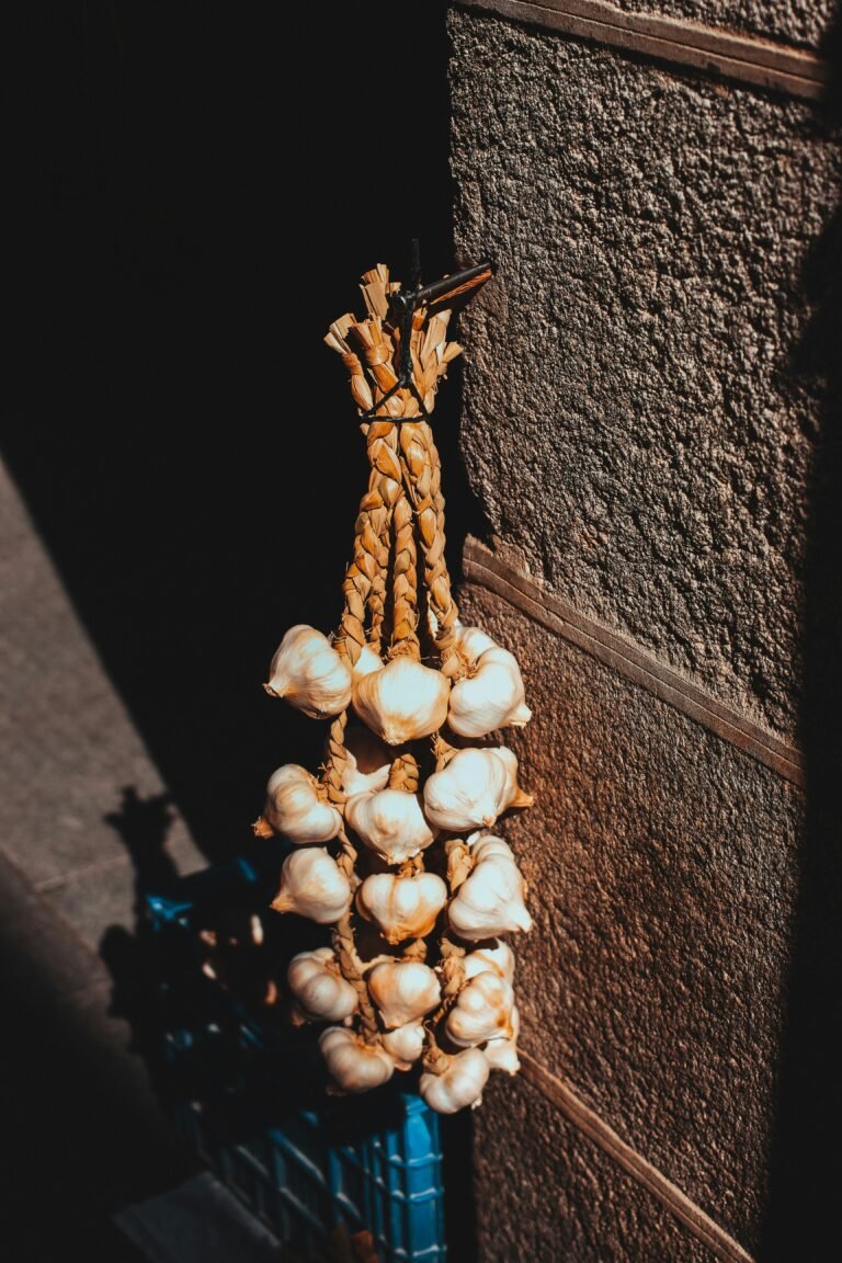 Garlic