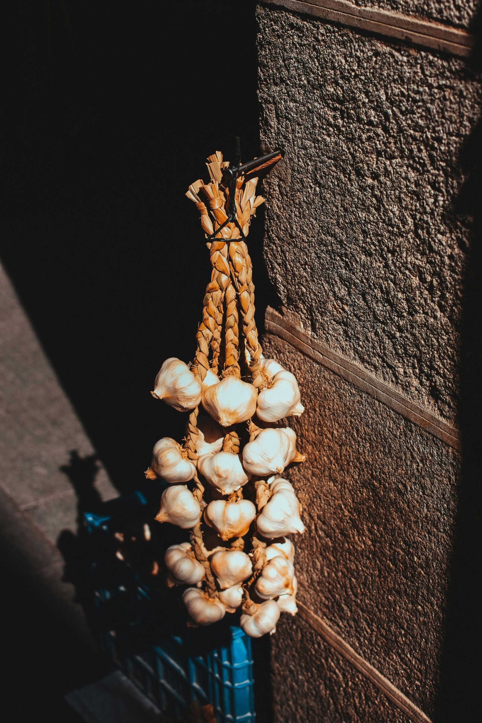 Garlic