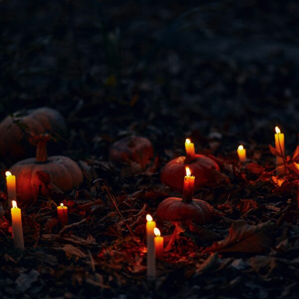Pumkin magic