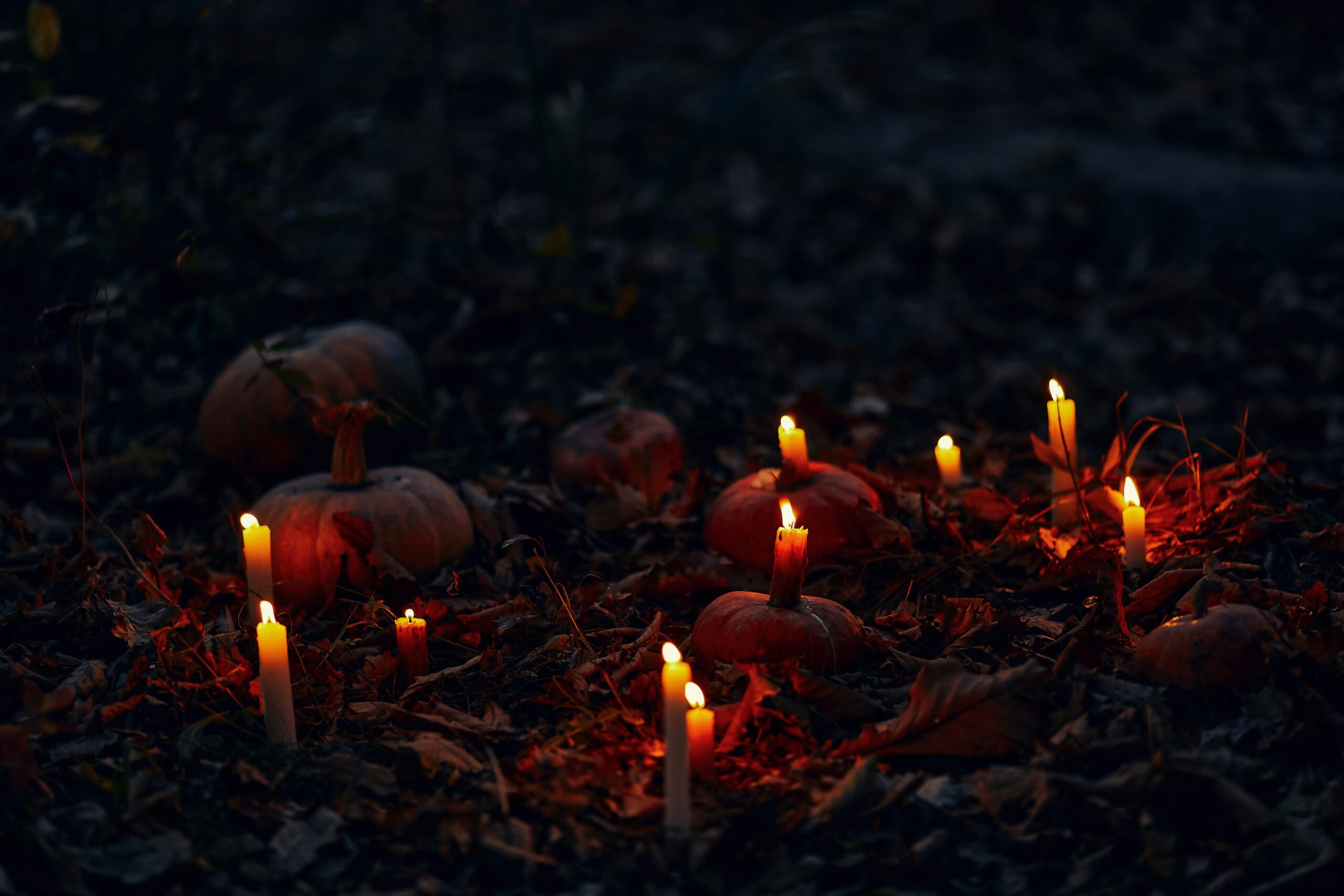 Pumkin magic