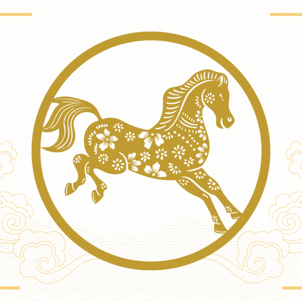 Chinese astrology