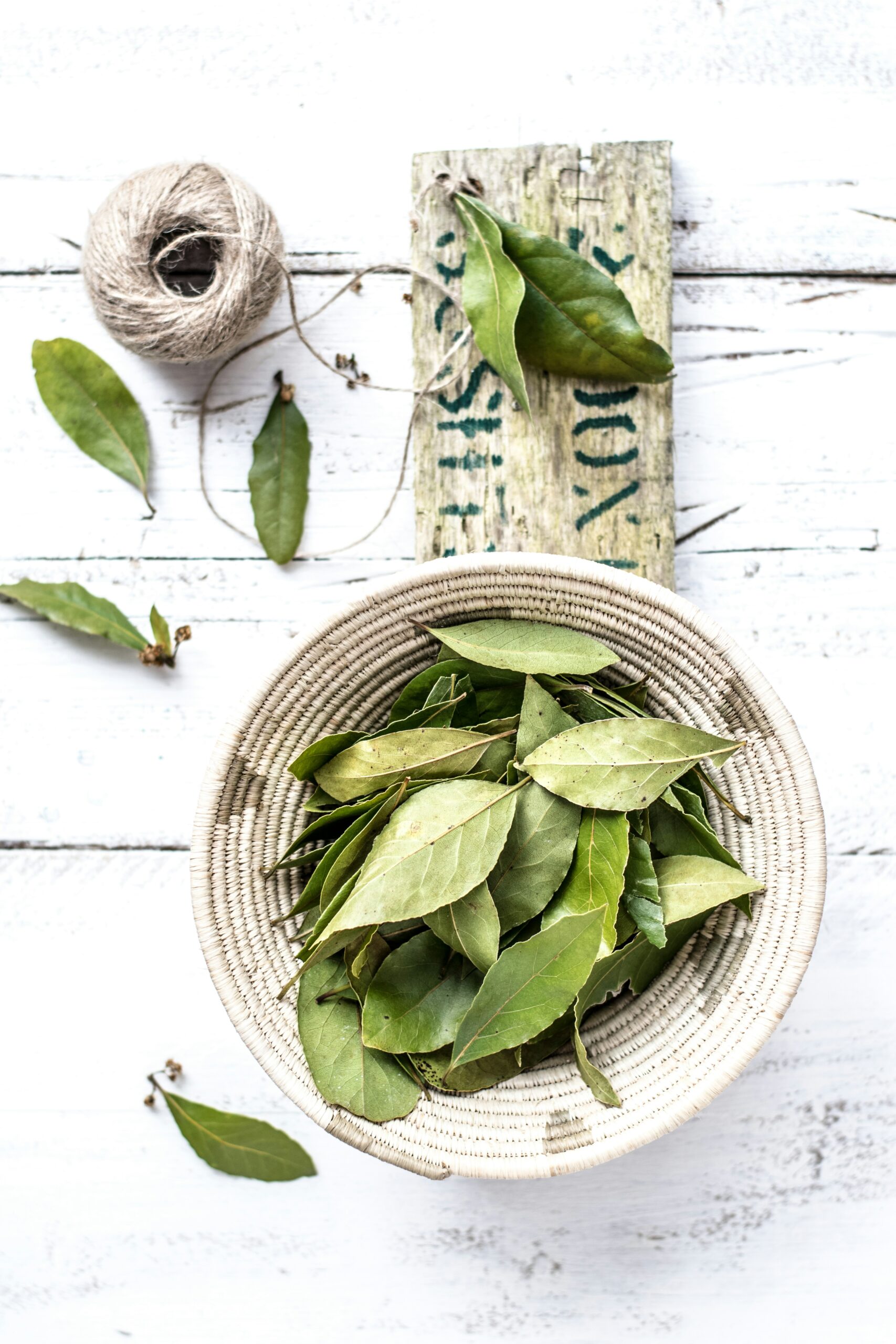 Bay Leaf