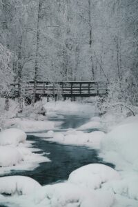 Snow Magic