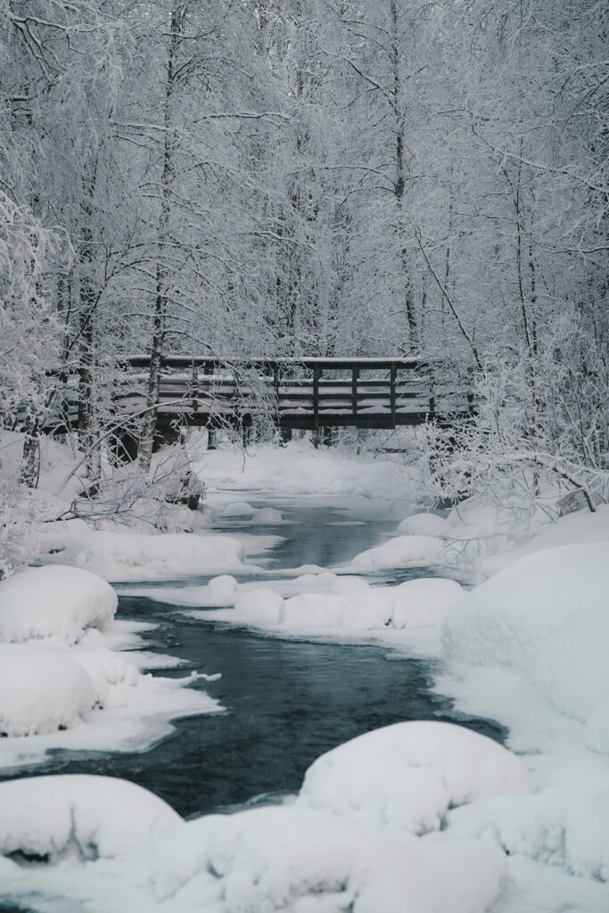 Snow Magic