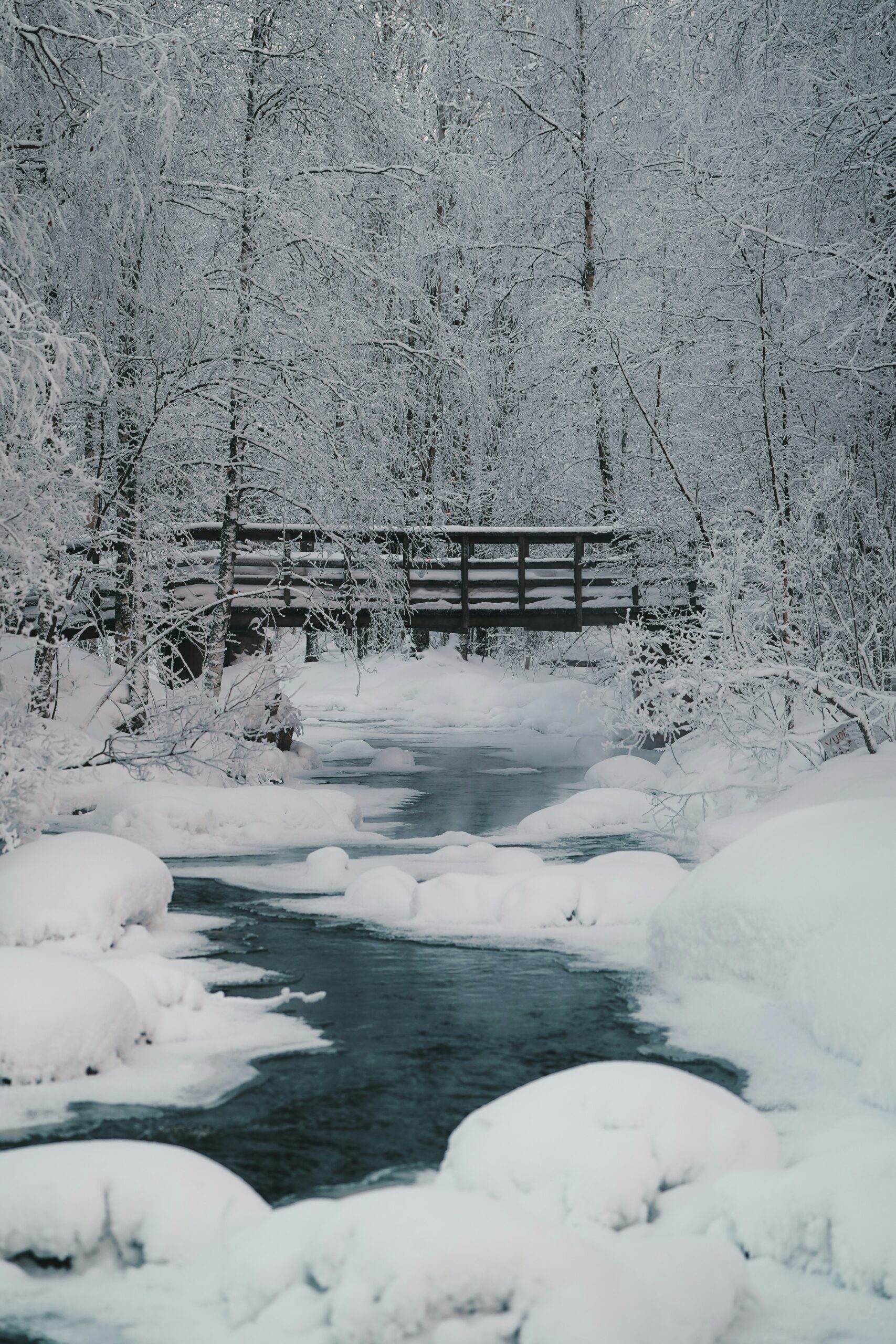 Snow Magic