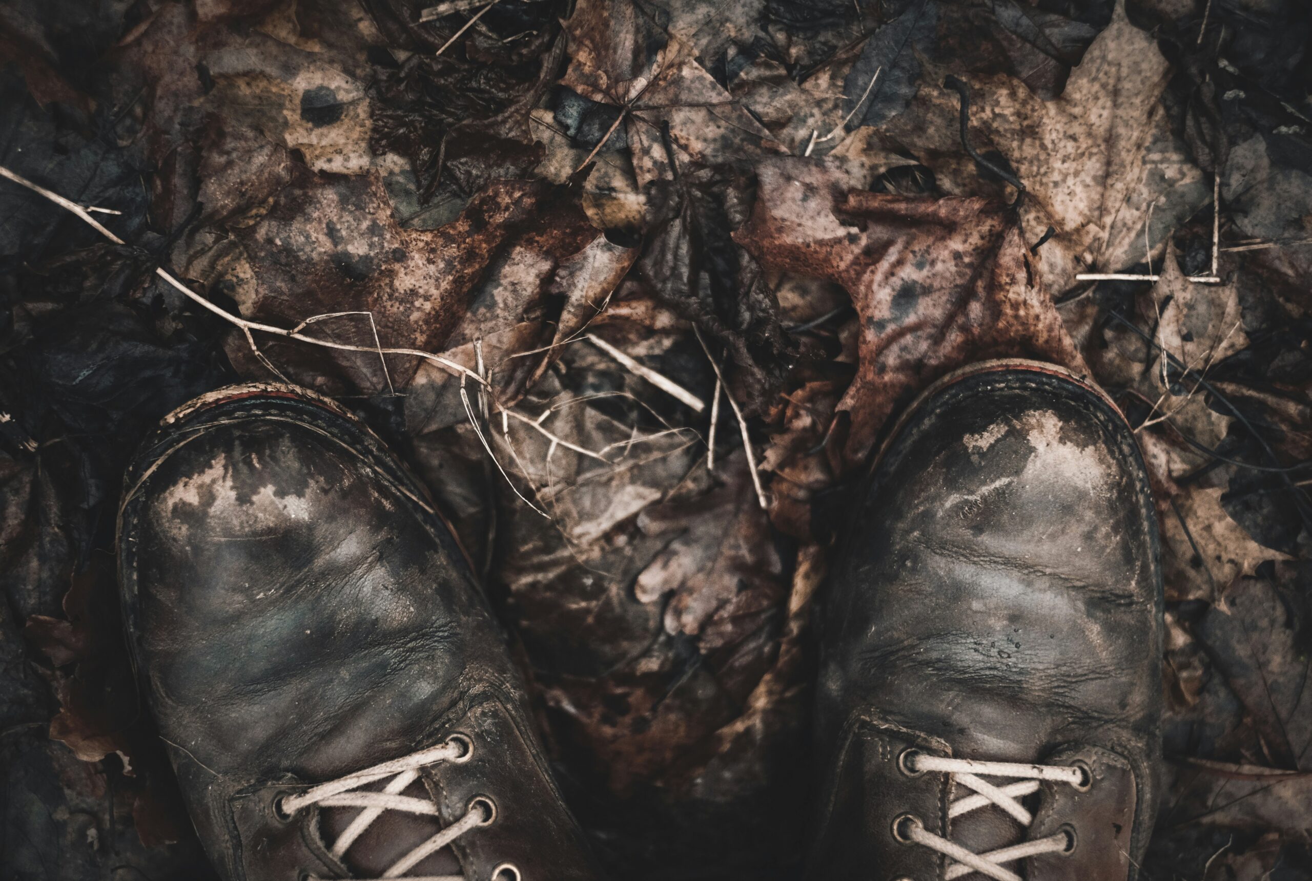 Walking in Someone Else's Shoes