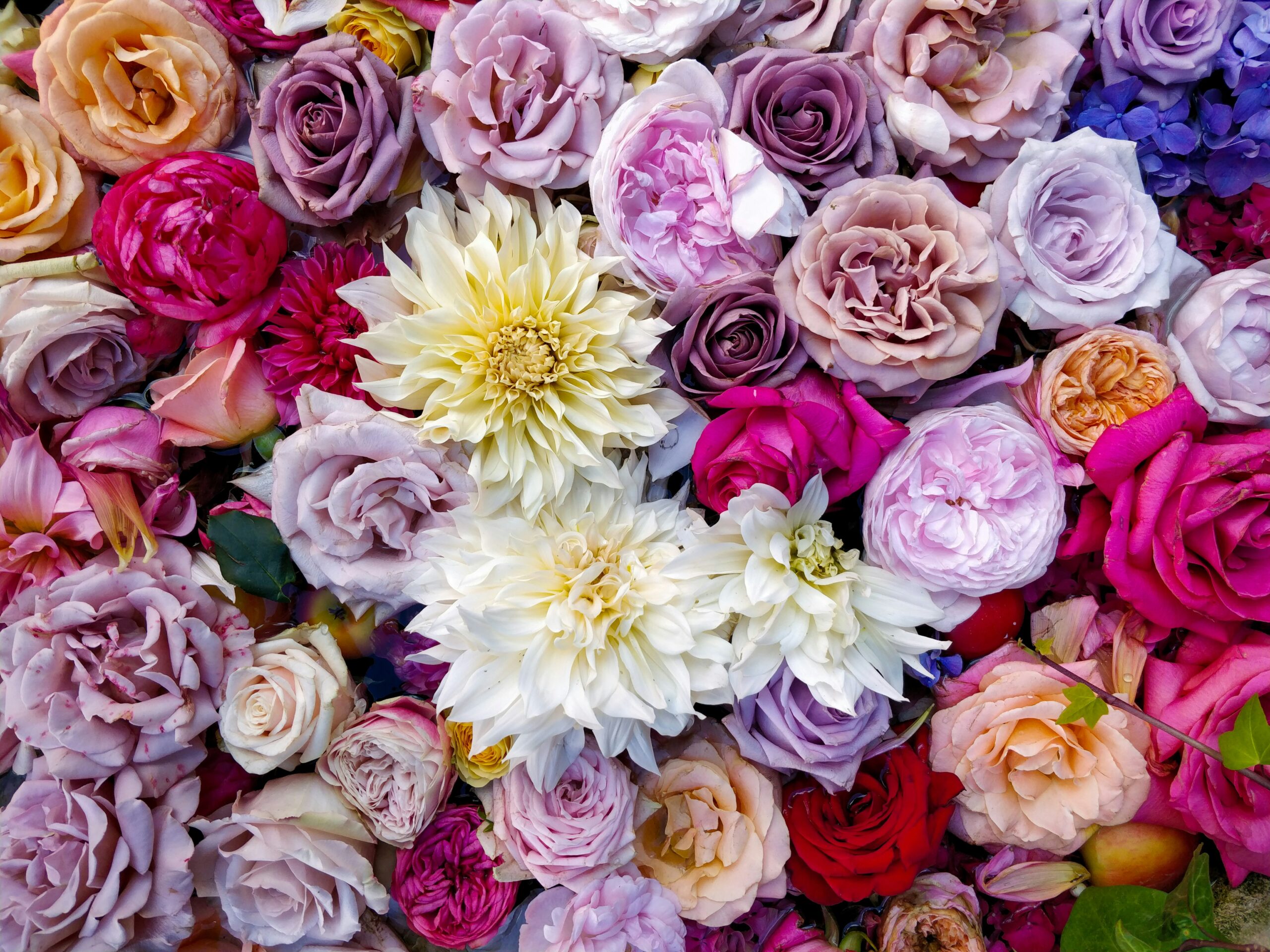 Flower Grimoire