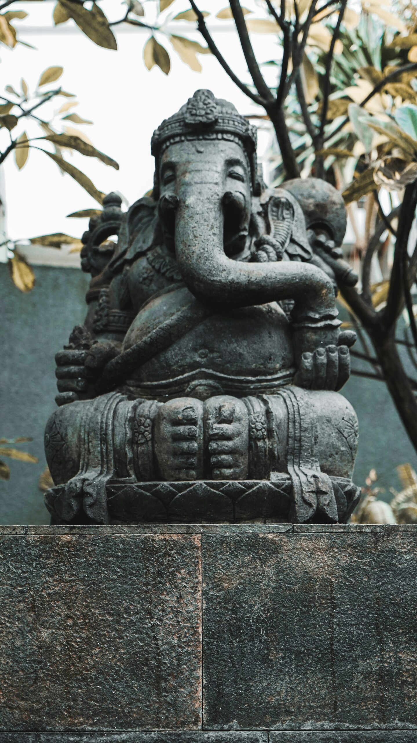 Ganesha Nakshatras