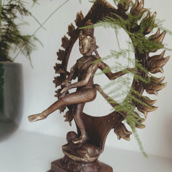 Nataraja vedic astrology